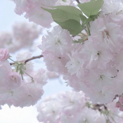 资兴FurryQQ群介绍